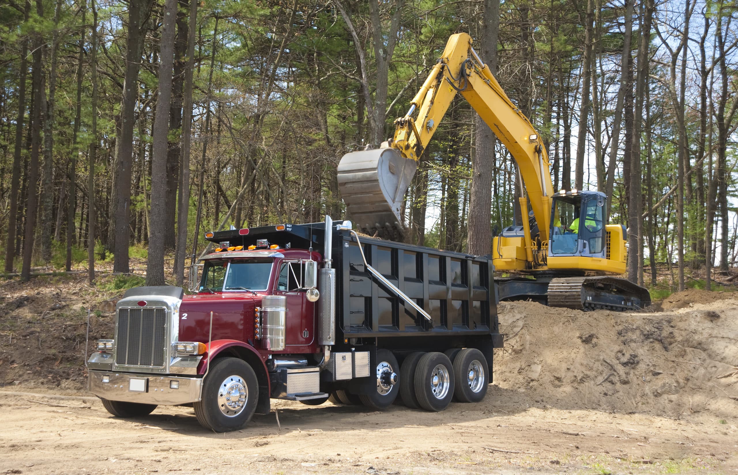 canstockphoto6246311
