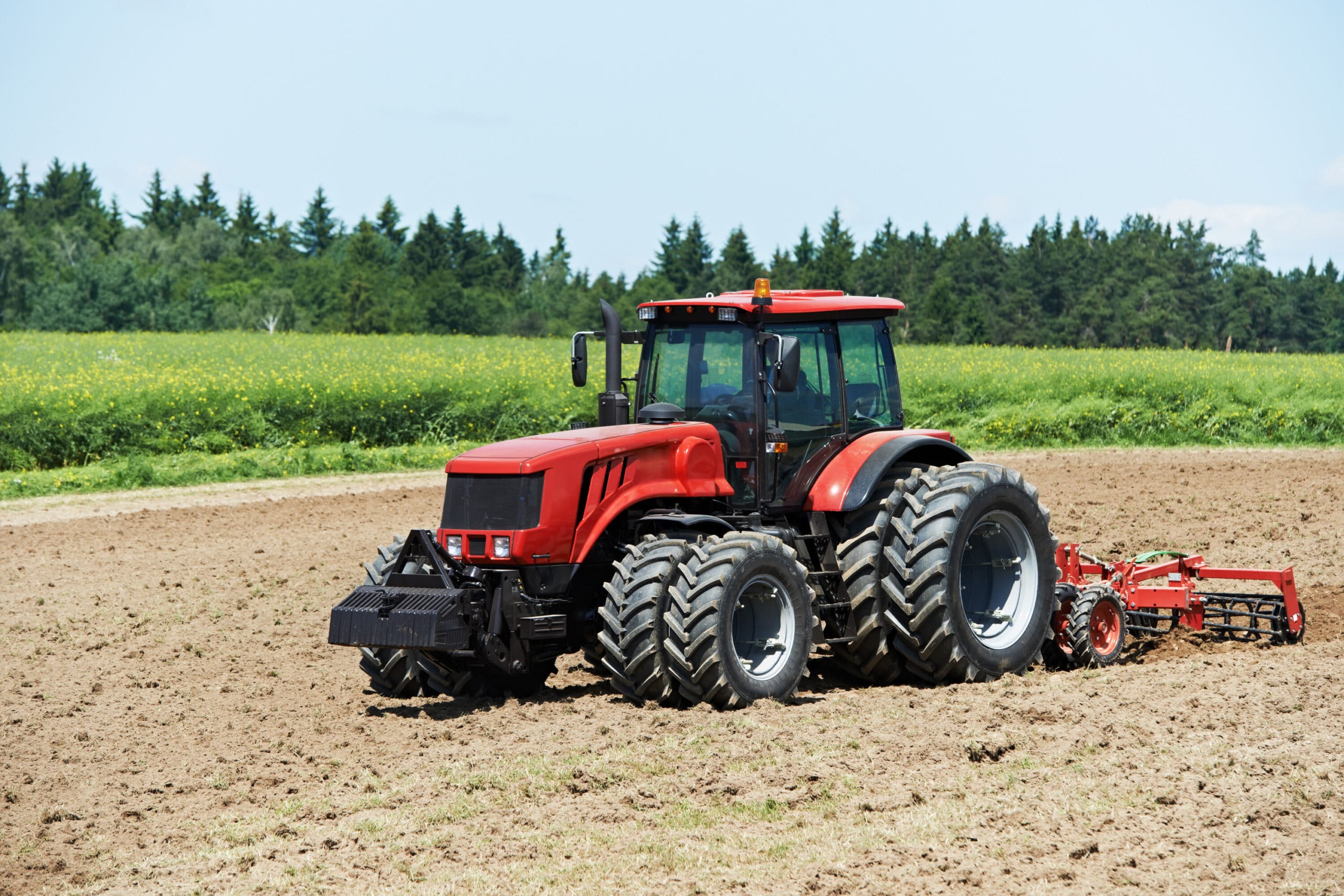 canstockphoto12278436