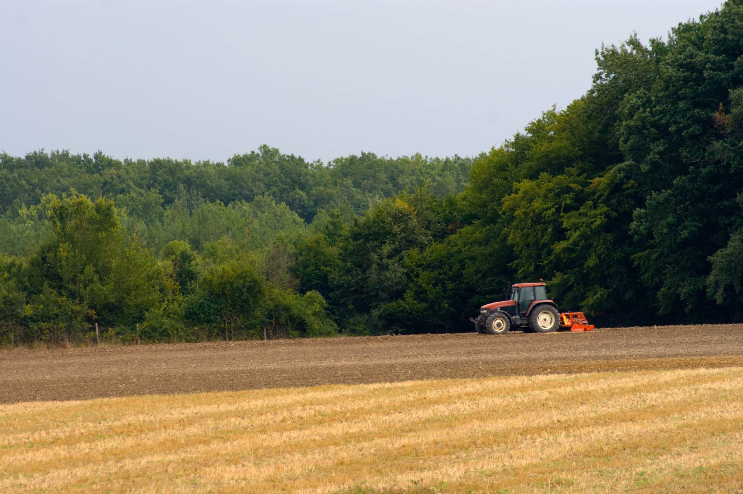 canstockphoto5187619